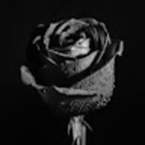 Meet your Posher, Owen